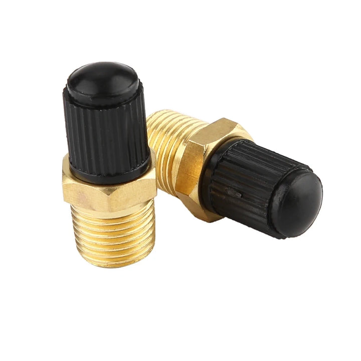 Pair of 1/8" NPT Brass Screw-In Valves with protective plastic caps