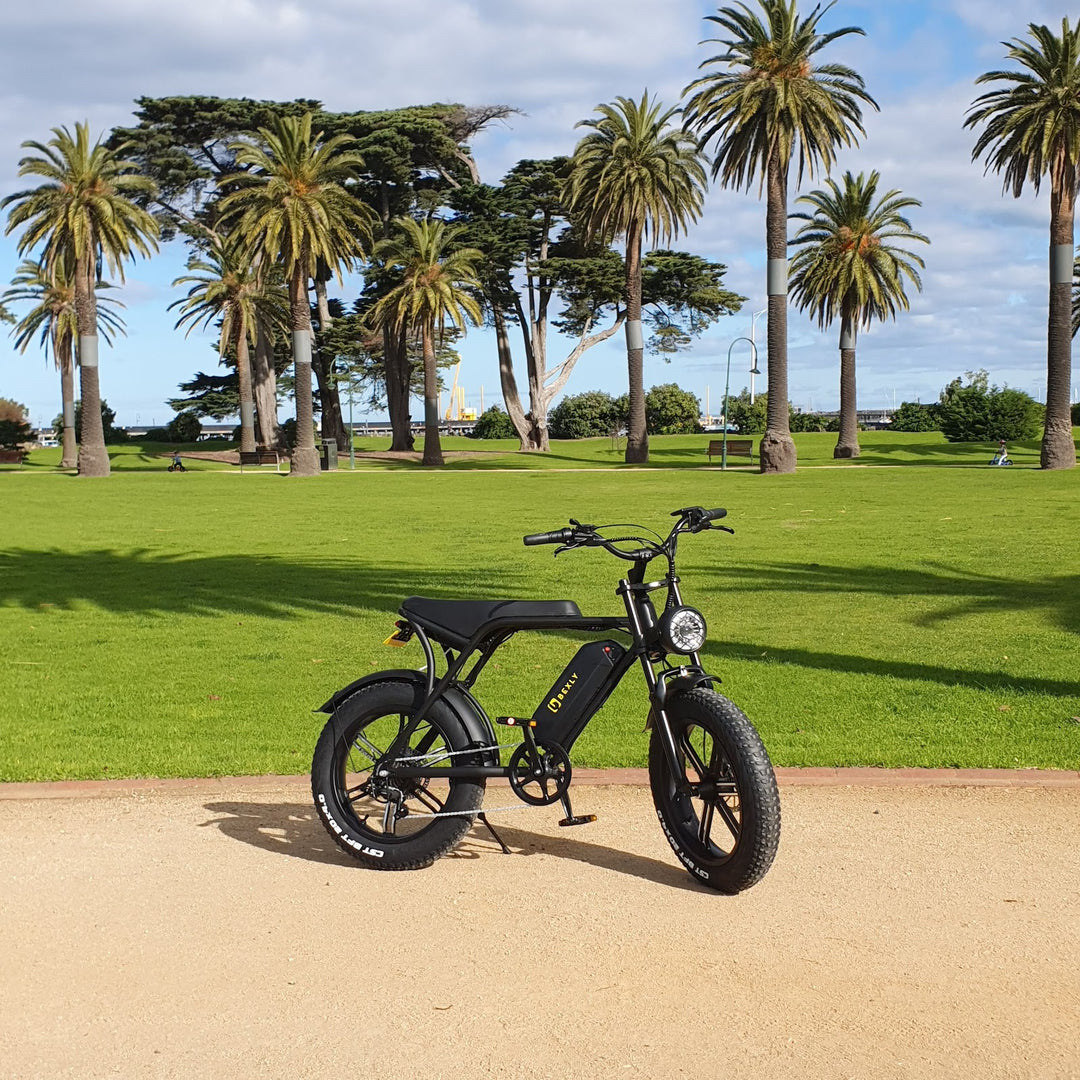 Bexly Brixton - Catani Gardens, St Kilda (Image Copyright EcoMotion)