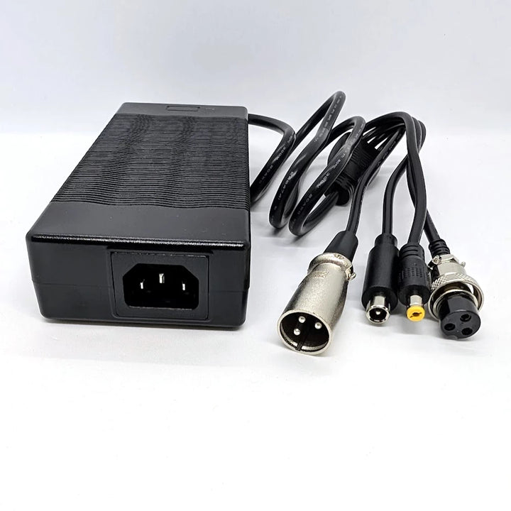 Electric scooter charger showing DC2.1, GX16-3, XLR and Segway/Xiaomi connectors and the IEC-C14 input connector