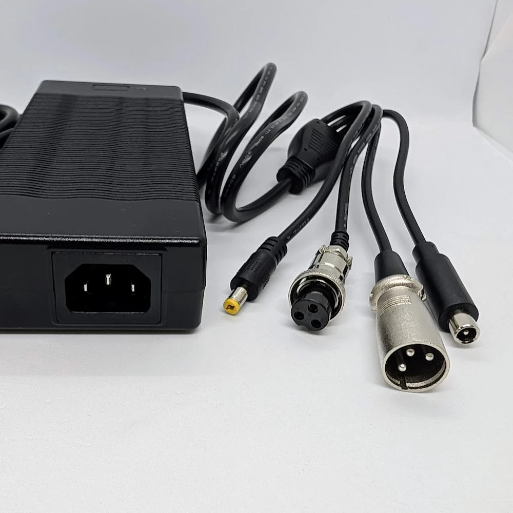 Close-up of GX16-3 XLR and DC barrel charging plugs on 48V scooter charger