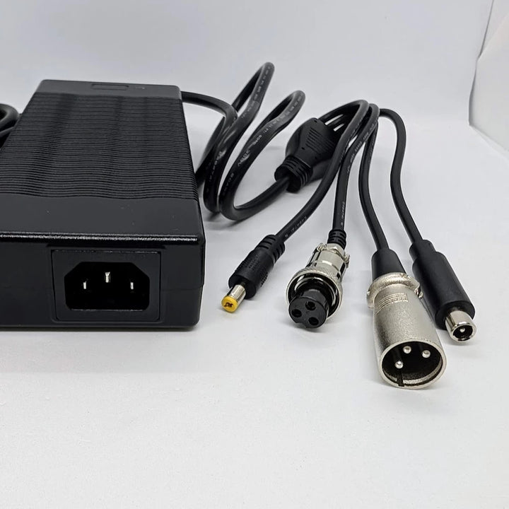 Close-up of GX16-3 XLR and DC barrel charging plugs on 48V scooter charger