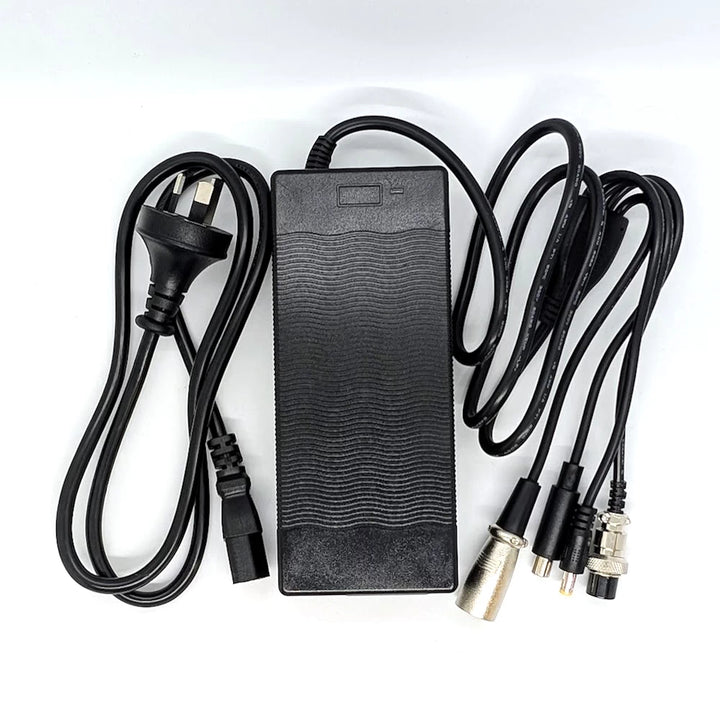 EcoMotion 48V multi-plug electric scooter charger with IEC320-C14 power input