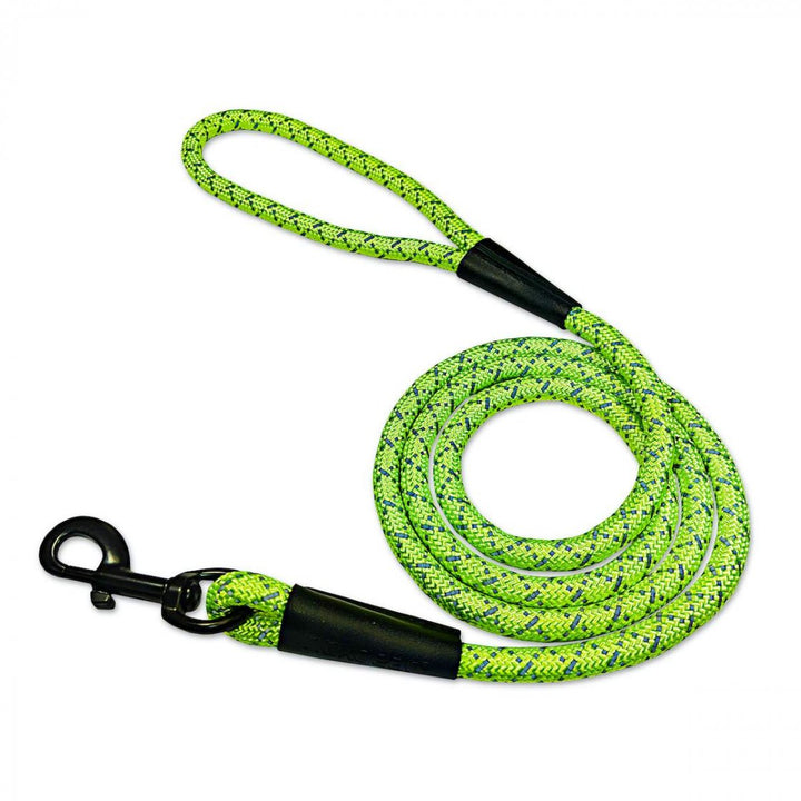 High Visibility Dog Leash - Hero Shot