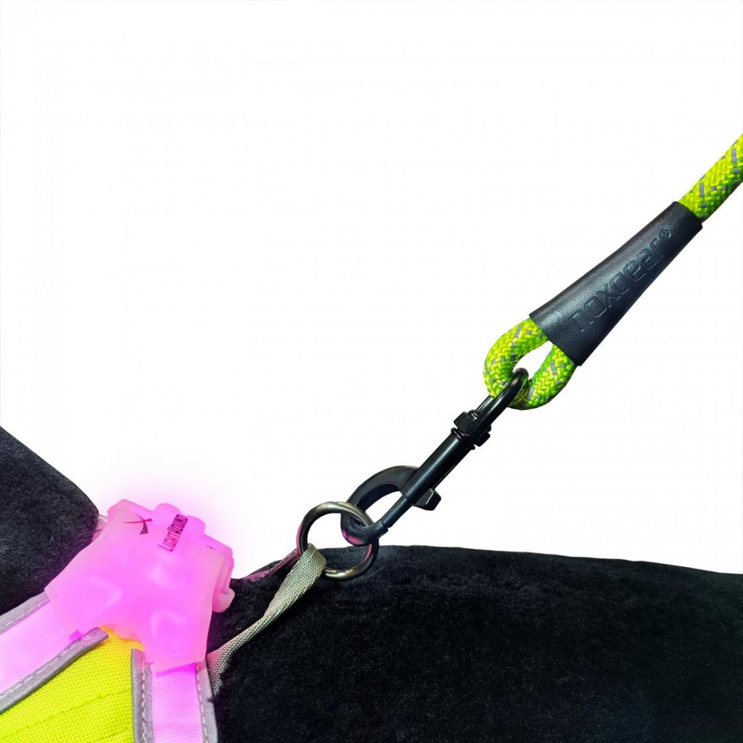 High Visibility Dog Leash - Clasp Connected to LightHound Dog Harness