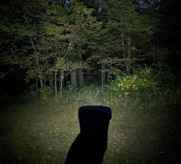 Demonstration of the flood beam of the Noxgear rechargeable 500 lumen Clip Anywhere light illuminating a bush area