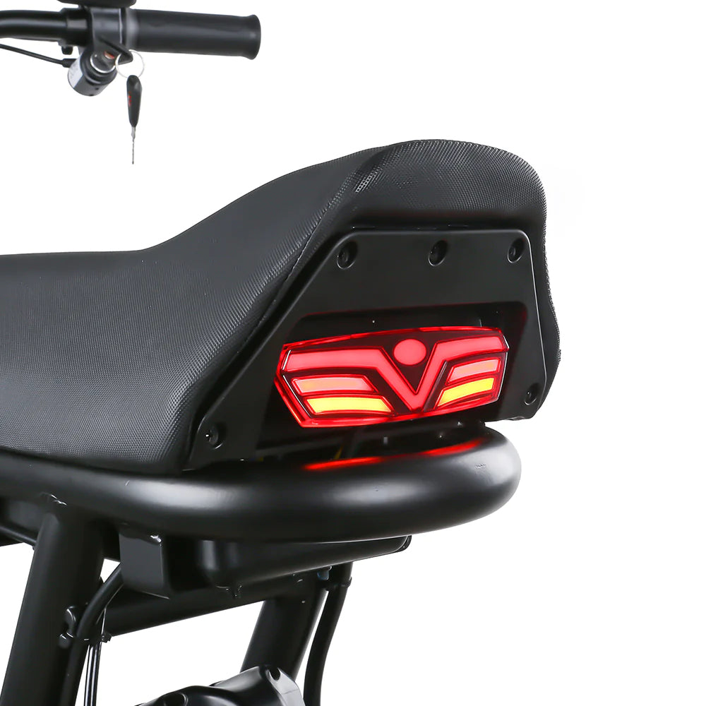 EMOVE Roadrunner SE - Rear Brake Lights and Turn Signals