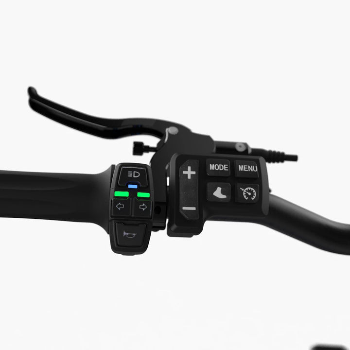 Left-side view of the Rogue Dual Motor's handlebars featuring the digital instrument cluster and button controls.